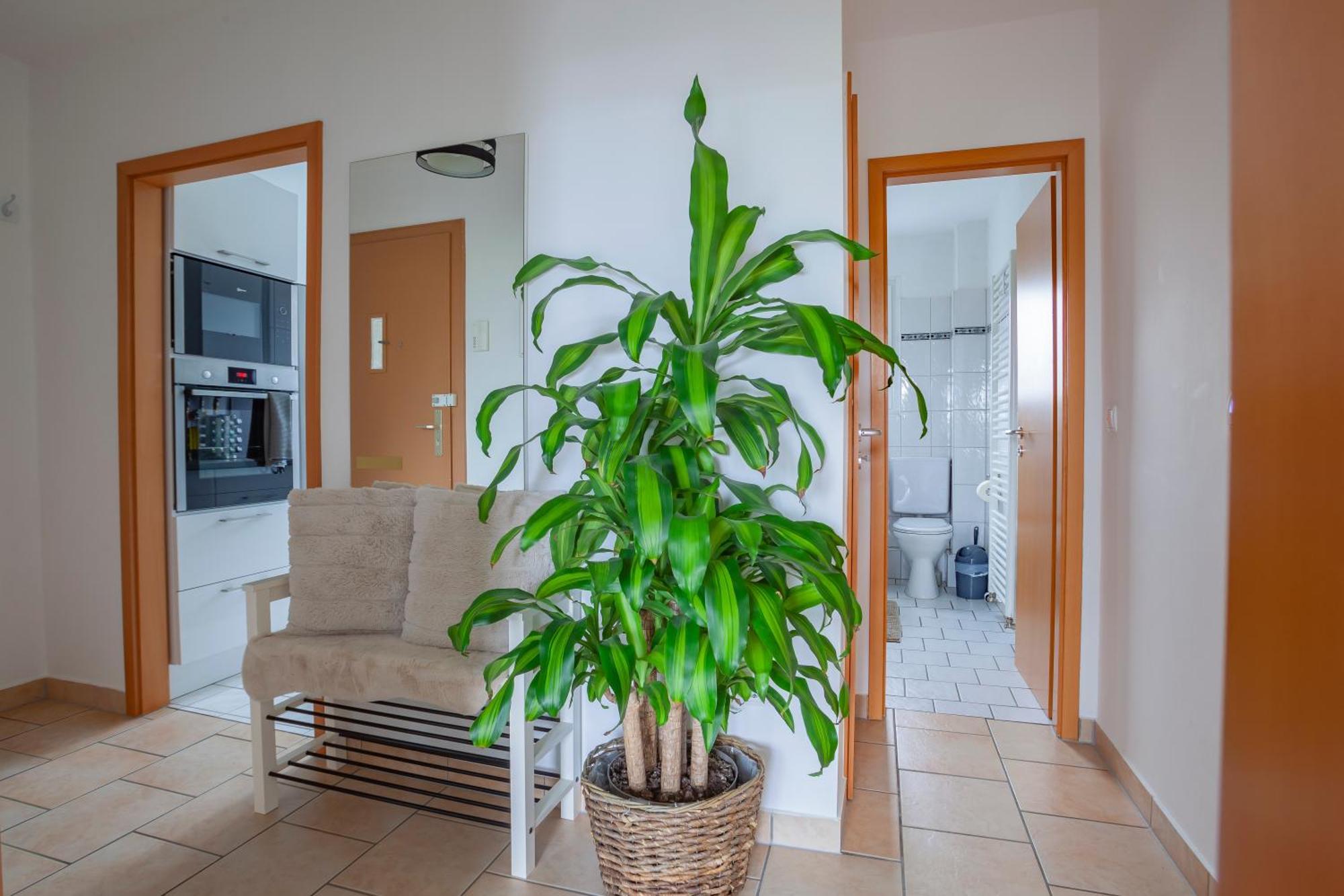 Exclusive 2-Room-City-Apartment - Contactless Check-In Hannover Exterior foto